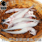 当天捕 新鲜豆腐鱼 虾潺 龙头鱼 龙头烤 九肚鱼 狗母鱼 500g