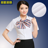 夏职业衬衫女短袖修身白色衬衣银行邮政寸衫大码正装竖条纹工作服
