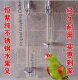 中大型鹦鹉用品 高品质纯不锈钢水果叉玉米苹果叉玩具叉 鸟笼