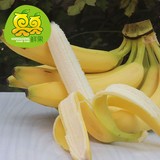进口水果 菲律宾香蕉3斤 进口香蕉 新鲜水果 无硬心果肉糯糯甜甜