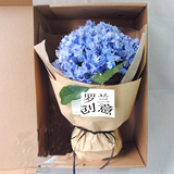 罗兰创意自然风花盒花束鲜花速递生日礼物绣球小花束蓝色鲜花批发