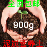 专家配置营养土栽花土泥碳土种植土种菜土有机基质泥土特价包邮