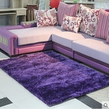 定制简约现代客厅茶几卧室韩国丝地毯加密加厚地垫地毯carpet