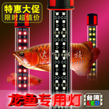 水族鱼缸灯龙鱼专用LED灯红龙罗汉鹦鹉鱼照明提色增红潜水灯包邮