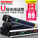 特美声Temeisheng W-288无线话筒家用KTV专用K歌无线麦克风一拖二
