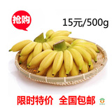 新鲜水果小米蕉粉蕉banana青香蕉广东特产有机水果批发包邮　500g