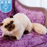 毛绒玩具超其特泰国贵族宠物仿真暹罗猫咪公仔可爱娃娃生日女礼物