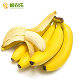 【鲜农乐】进口菲律宾香蕉1500g应季水果热带水果北京新鲜水果