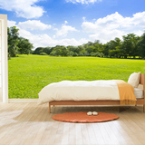 2015新款森林背景壁纸客厅沙发壁画 3D立体草地蓝天白云 空间扩展