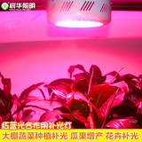 LED植物生长灯具50W菜农好帮手农场园艺花园补光灯具多肉植物补光