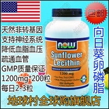 现货18/1 Now Foods Sunflower Lecithin向日葵卵磷脂1200mg*200
