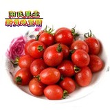 新鲜水果 海南千禧小柿子 2斤装 千禧圣女果 小番茄限北京