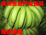 香蕉banana 高州新鲜水果有机青香蕉 非海南小米蕉芭蕉