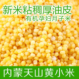 2015新米 内蒙有机小米500g 黄小米月子米小黄米粮食小米 5斤包邮