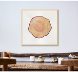 抽象年轮挂画现代简约中式原创手绘实木相框客厅玄关装饰画包邮