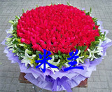 批发价999朵520朵365朵99朵红玫瑰生日求婚表白周年杭州鲜花速递