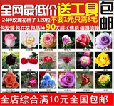 满10元包邮奇趣景观绿植盆栽花卉种子 红玫瑰花种子 玫瑰种子鲜花