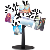 小满优品umbra欧式创意月桂相片树照片树架 记忆相片架展示架子