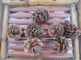 天然松果 干花 拍摄道具 复古道具 摆件松塔 圣诞工艺品 单个