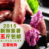 预售2016农家自种新鲜紫薯 番薯 小紫薯 地瓜 有机紫薯 五斤包邮