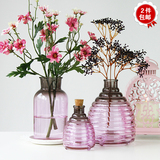 欧式田园风格彩色透明玻璃花瓶水培瓶插花瓶家居摆件2件包邮