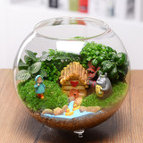 苔藓微景观生态桌面玻璃盆栽办公室创意迷你植物diy龙猫盆栽摆件