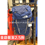 专柜代购16春夏新品TheNorthFace北面男女通用双肩登山包NF00A1N9