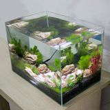 包邮 玻璃小鱼缸水族箱 迷你超白鱼缸 生态 小型乌龟缸 金鱼缸