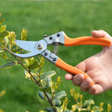 园艺工具修枝剪整枝剪刀 摘果树枝修剪花木小剪 园林剪刀绿化工具