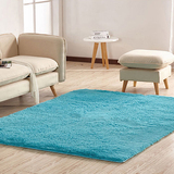 厅茶几飘窗卧室床边地毯加厚弹力床边毯门垫可定做特价丝毛地毯客