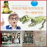 考古挖掘恐龙化石 创意diy儿童手工玩具 早教益智仿真骨架模型