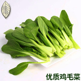 优质上海青鸡毛菜种子400粒装 小青菜阳台盆栽四季播菜籽18天收获