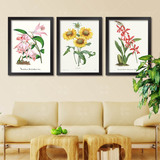 美式花卉装饰画植物美式欧式田园壁画客厅墙画卧室有框画挂画兰花