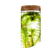 创意带LED灯迷你水族箱生态瓶 桌面小型热带鱼观赏鱼圆柱玻璃鱼缸