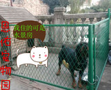 上海狗狗猫猫宠物包月寄养优惠多多 预定即满十赠一（送洗浴）