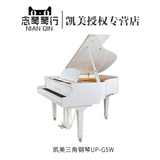 KAIMEI/凯美三角钢琴UP-G5W 全新进口高端配置黑色白色 包邮