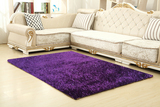 南韩丝地毯客厅茶几地毯红色紫色地毯飘窗卧室床边门垫可定制包邮