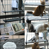 美国K&H窗台晒太阳强力吸盘猫吊床牢固空中猫咪卧榻宠物猫垫猫窝
