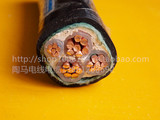 亿润电线电缆VV3X25+1X16铜芯电力电缆