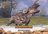 UPPER DECK 恐龙卡普卡70einiosaurus