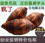 正宗广西特产荔浦芋头槟榔香芋农家产品毛芋头新鲜有机蔬菜4000g