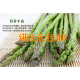 绿芦笋种子 世界十大名蔬菜之王营养高蔬菜种子菜籽  高级蔬菜