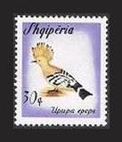 阿尔巴尼亚 1965 鸟类 戴胜 1枚（1.40$）