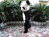小熊猫穿戴衣服行走人偶卡通道具装头套泰迪熊ted公仔熊麻吉萌宠
