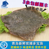 青岛海鲜特产野生鲜活多宝鱼活鱼海鱼宝宝补食条1.5-2.5斤半斤价