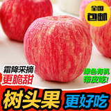 清晨果园 山东烟台苹果水果新鲜栖霞 霜降红富士吃的80#5斤