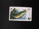 < 新新收藏>  波兰信销票邮票,深海鱼，一枚，集邮