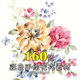 唯美彩色手绘花卉插画集 植物花朵水彩水粉绘画作品设计素材492