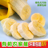 新鲜香蕉水果 农家有机软甜香蕉 水果批发青皮 果园现摘 包邮8斤