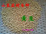 山东农家自种新黄豆发豆芽打豆浆专用非转基因有机黄豆